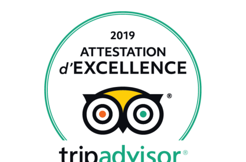 Article : CERTIFICAT D'EXCELLENCE TRIPADVISOR